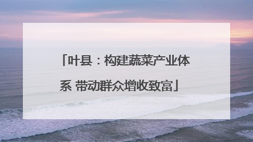 叶县：构建蔬菜产业体系 带动群众增收致富